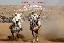 Image du Maroc Professionnelle de  Course typiquement marocaine dite ''la Fantasia'' organisé dans un site désertique sur lequel la ville de Tan Tan a toujours accueilli la majorité des tribus et des grandes familles nomades du désert lors d'un grand moussem, Samedi 24 Mars 2012. (Photo / Abdeljalil Bounhar)

 